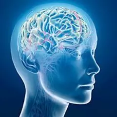 Agnosia - Types, Symptoms, Treatment