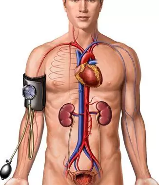 Arterielle Hypotonie - Symptome, Behandlung, Prävention