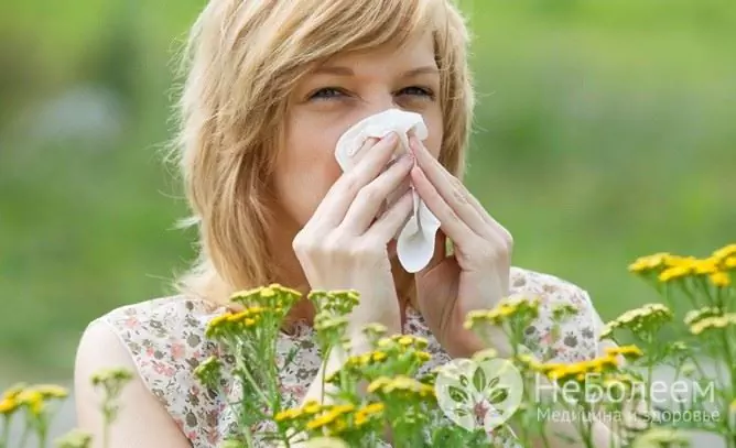 Gevaarlijke zomerziekten: allergieën