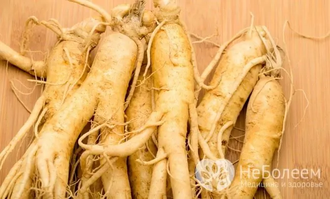 Ginseng