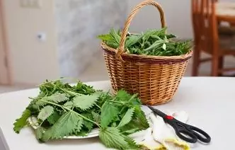 8 Edible Spring Herbs