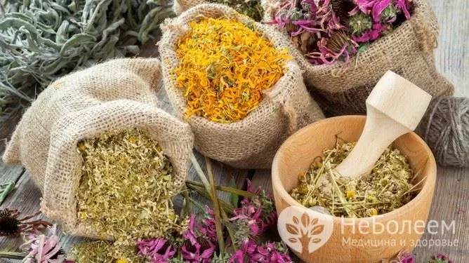 Types of phyto baths for diseases