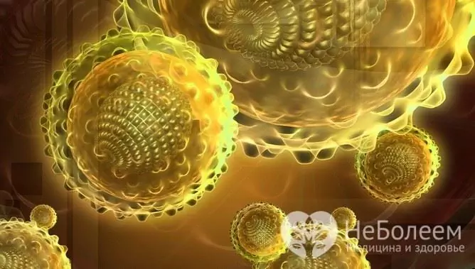 Virus hepatitis