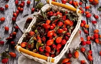 We Are Treated With Rose Hips: 7 Remedies And Their Application