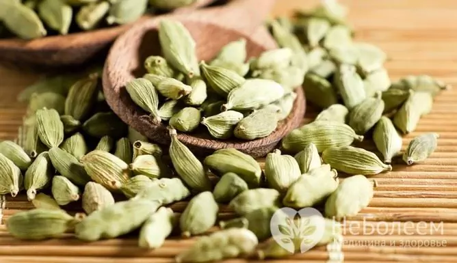 Cardamomo