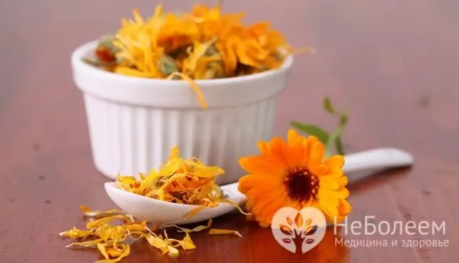 Calendula