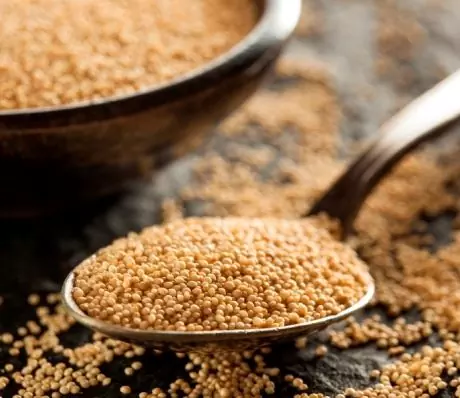 Amaranth - Properties, Application, Reviews, Calorie Content, Vitamins