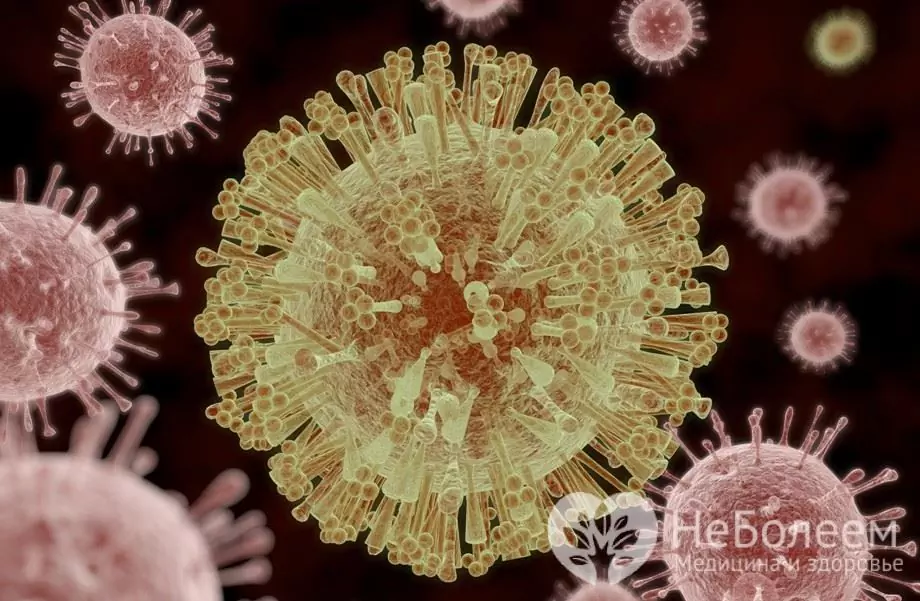 Virus zika