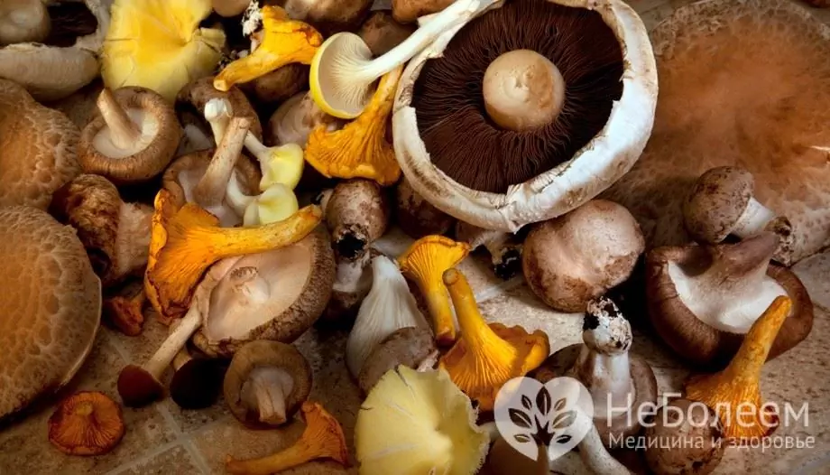 Come avviene l'avvelenamento da funghi?