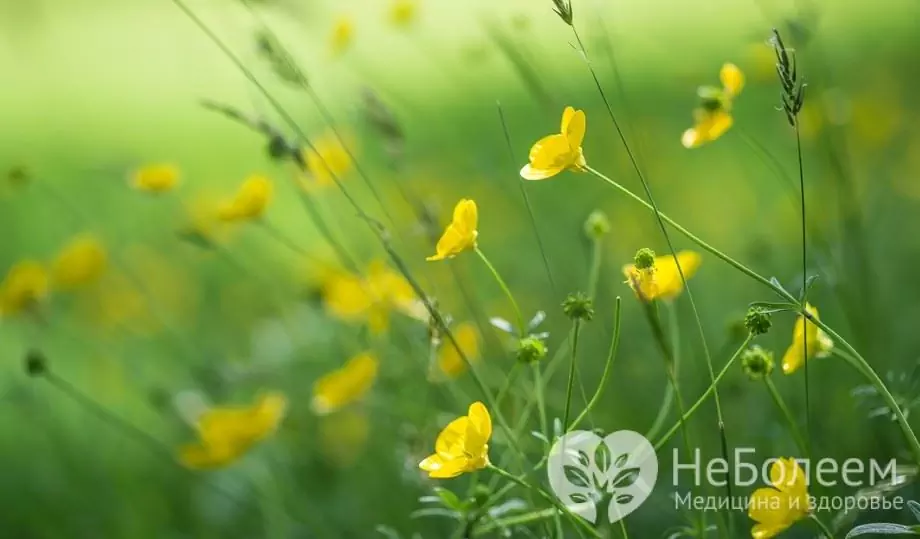 Wie kommt es zu einer Butterblumenvetung?