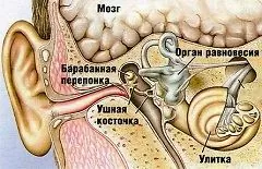 Ear Diseases - Symptoms, Treatment