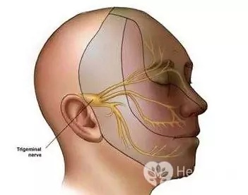 Neurite Trinity