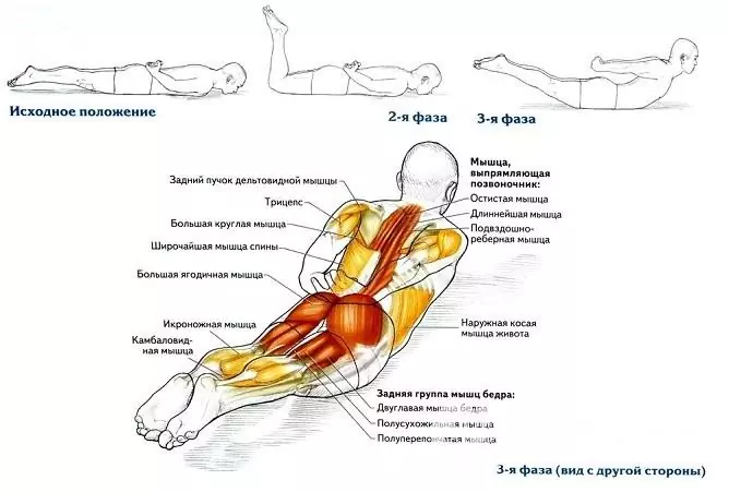 Una delle misure preventive importanti è l'allenamento dei muscoli della schiena