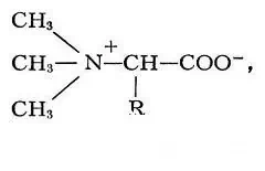 Betaina formula