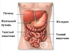 Livedexa môže pomôcť znížiť riziko kŕčových žíl a ochorení pečene