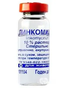 Linkomicin oldat 10%