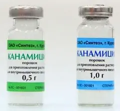 Kanamycin - Instructions For Use, Indications, Doses, Analogues