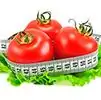 Tomatoes For Weight Loss - Calorie Content, Useful Properties, Application