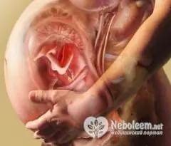 37 Weeks Pregnant - Stomach, Pain, Fetus