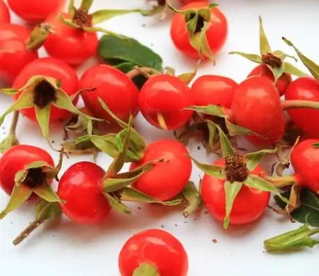 Rosehip - Properties, Benefits, Contraindications, Nutritional Value, Vitamins