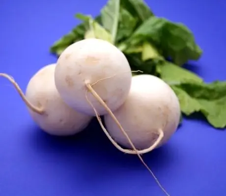 Rábano Blanco: Contenido Calórico, Propiedades útiles, Valor Nutricional, Vitaminas