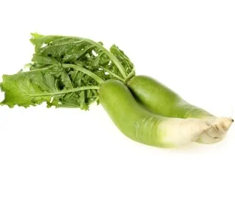 Rabanete Verde - Conteúdo Calórico, Propriedades úteis, Valor Nutricional, Vitaminas