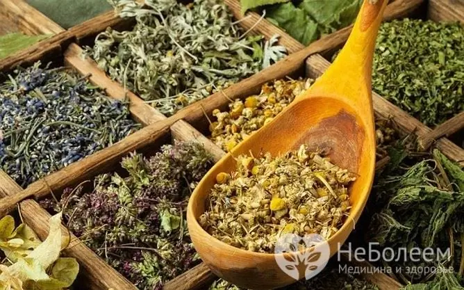 Les décoctions ou infusions d'herbes médicinales peuvent être utilisées pour l'inhalation