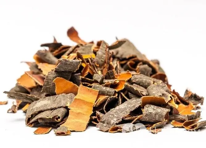 Buckthorn bark is one of the popular traditional medicines for treating constipation