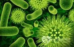 100 à 200 espèces de microbes vivent sur les mains