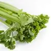 The Benefits Of Celery: Why This Vegetable Should Be Included In The Diet