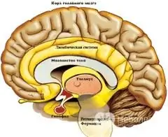 Hypophysenadenom Symptome