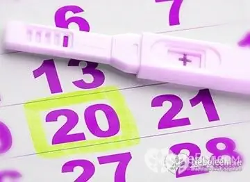 How long after an abortion does menstruation begin