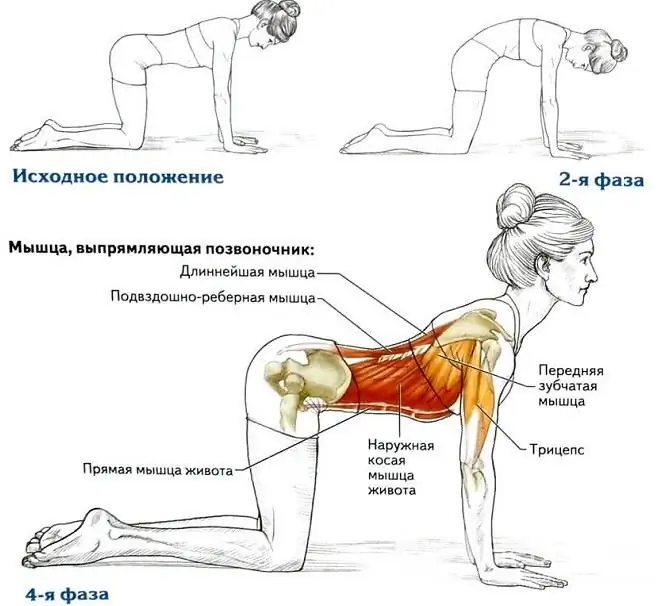 Nugaros lenkimai yra naudingi esant krūtinės ir juosmens stuburo osteochondrozei