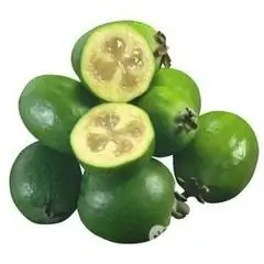 What is the use of feijoa?