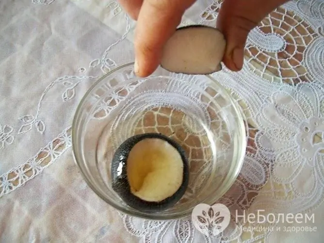 Black radish preparations are considered very effective for coughing attacks