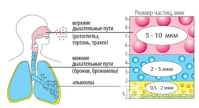 El nebulizador se usa para tratar no solo la neumonía, sino también otras enfermedades respiratorias