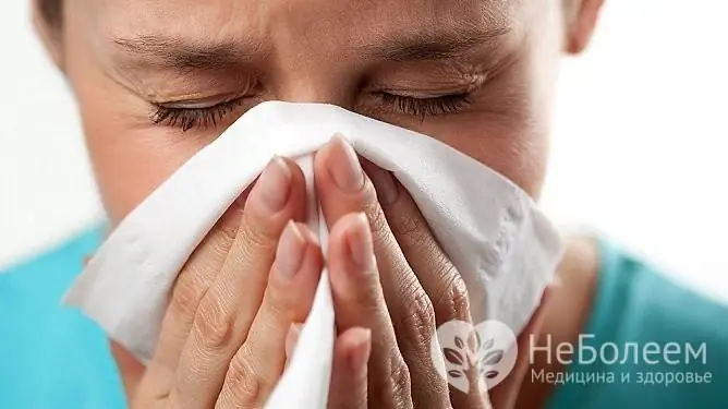 Une toux causée par des allergies est accompagnée d'autres symptômes - éternuements, éruptions cutanées, démangeaisons, écoulement nasal abondant