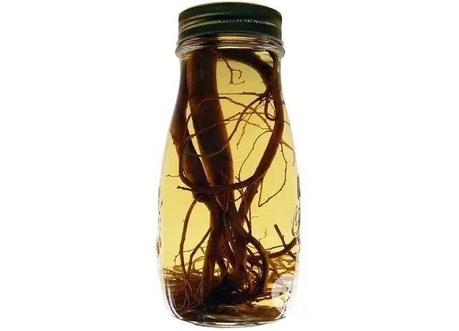 Ginseng-tinctuur heeft een tonisch effect