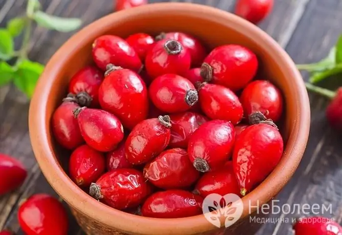 Rose hips have many medicinal properties, making them one of the most popular medicinal plants