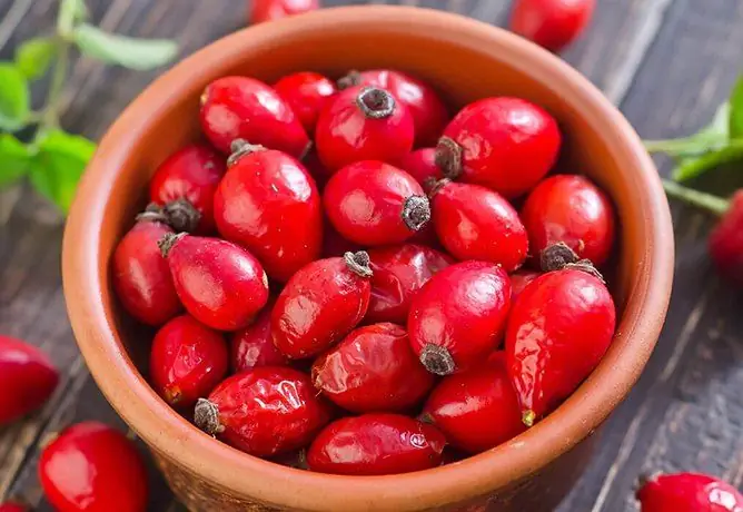 Rosa Canina Sotto Pressione: Aumenta O Diminuisce La Pressione Sanguigna, L'influenza, Le Revisioni