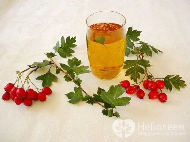 Hawthorn tea not only lowers blood pressure, but also has a number of beneficial properties