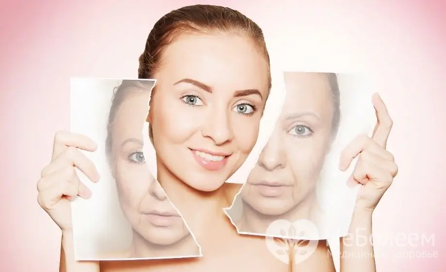 Hyaluronic acid maintains the shape and contours of our body