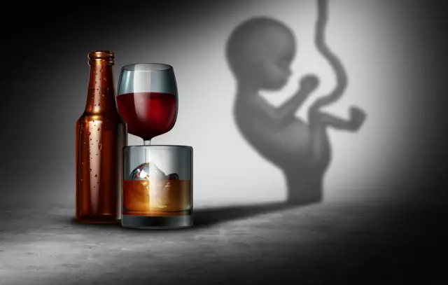 The Influence Of Alcohol On The Development Of The Embryo