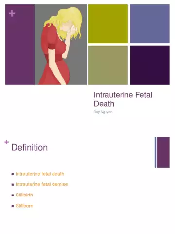 Intrauterine Fetal Development