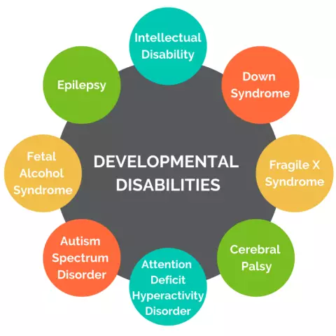 Developmental Disorders In Children