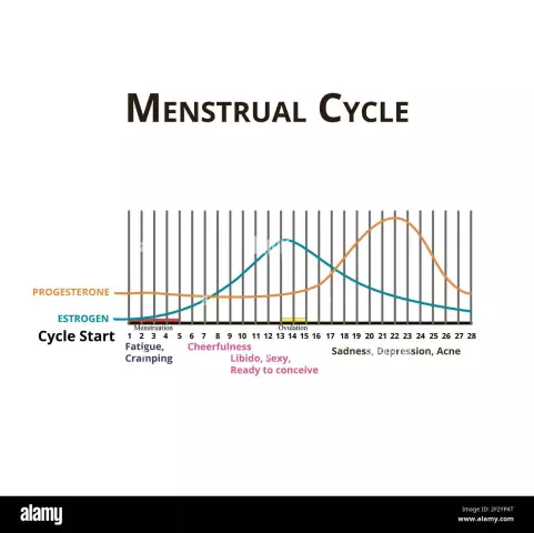 Menstruation After Miscarriage