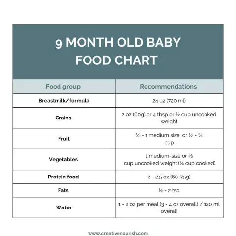 Feeding A Baby At 9 Months