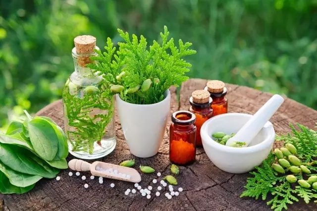 Modern Herbal Medicine - Applications, Benefits