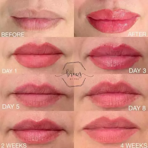 Lip Tattoo - Reviews, Consequences, Healing