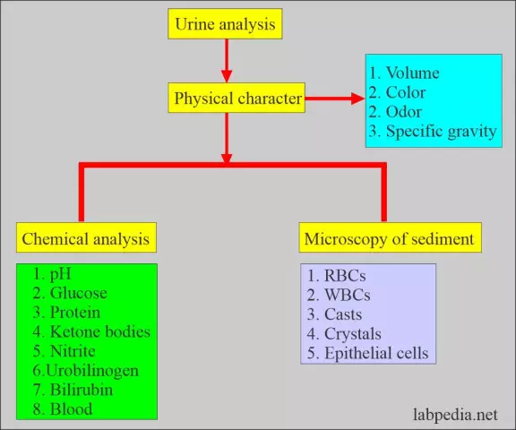 Urine Analysis - Indicators, Types